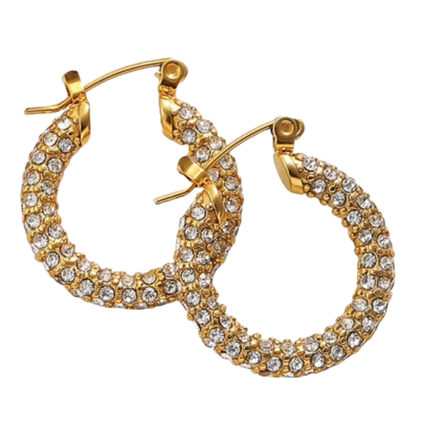 Argollas Berenice